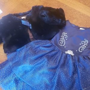Disney Cinderella dress
